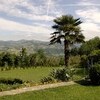 Garten mit Palme im Ferienhaus im Piemeont Cascina delle Langhe