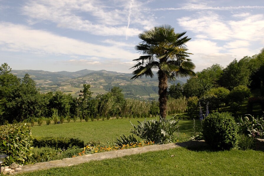 Garten mit Palme im Ferienhaus im Piemeont Cascina delle Langhe
