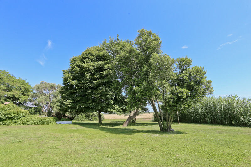 casale burano 5 Garden 02