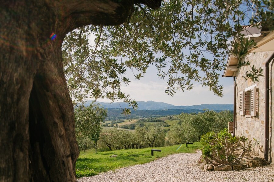 Casa Winther inmitten eines Olivenhains in Umbrien